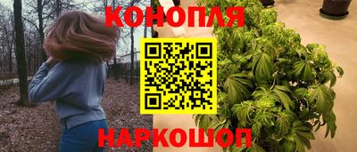 мяу мяу мука Тулун