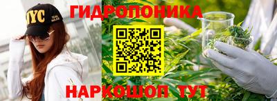 мяу мяу мука Тулун