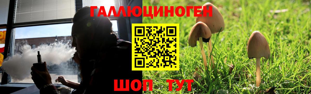 Мирный  Галлюциногенные грибы MAGIC MUSHROOMS  Вход с VPN  Галлюциногенные грибы прущие грибы 